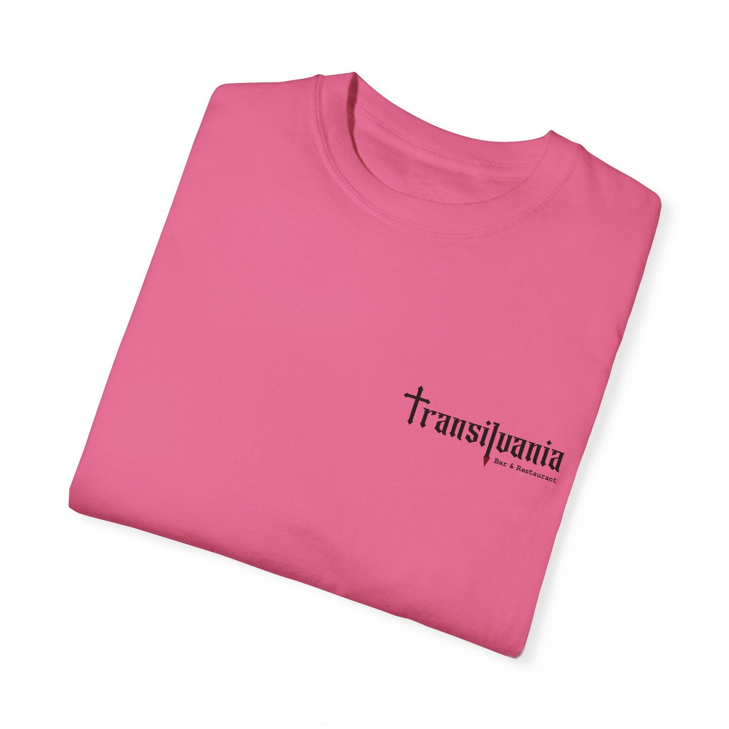 Transylvania Unisex Garment-Dyed T-Shirt - Vintage Style Graphic Tee
