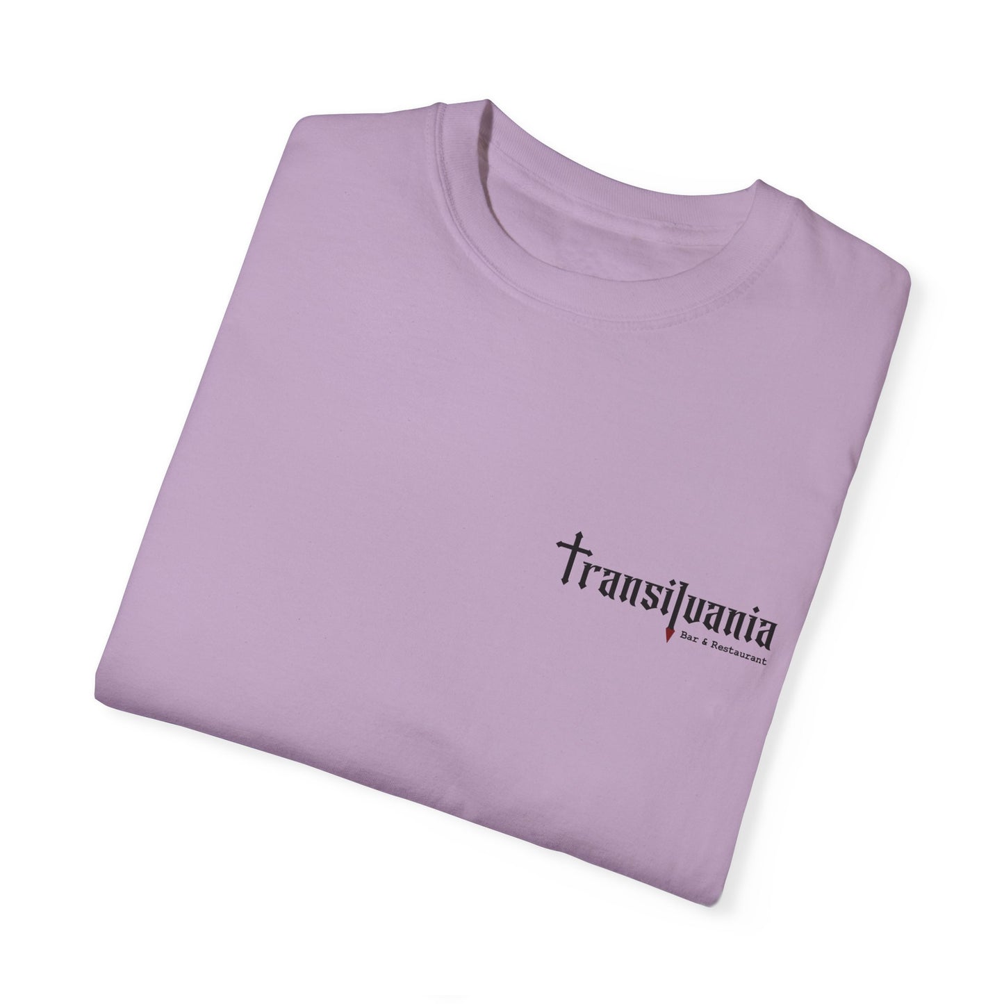 Transylvania Unisex Garment-Dyed T-Shirt - Vintage Style Graphic Tee