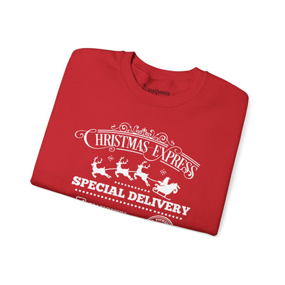 Naughty's Express Sweatshirt - Funny Santa Beard Holiday Crewneck