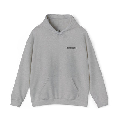 Transylvania Unisex Heavy Blend™ Hooded Sweatshirt - Cozy Gothic Style for Any Occasion